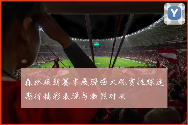 森林狼新赛季展现强大观赏性球迷期待精彩表现与激烈对决