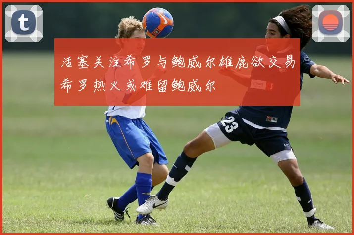 活塞关注希罗与鲍威尔雄鹿欲交易希罗热火或难留鲍威尔